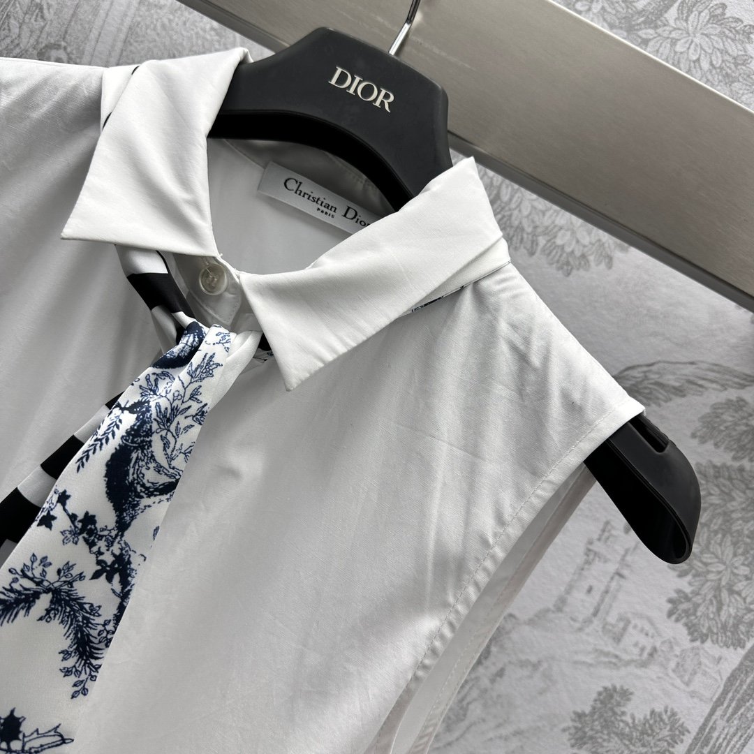 高仿DIOR衣服女裝無袖裙子 長裙