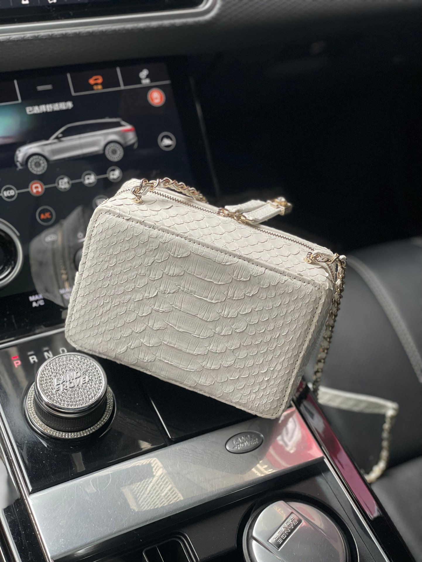CHANEL顶级高仿专柜同步相机包
