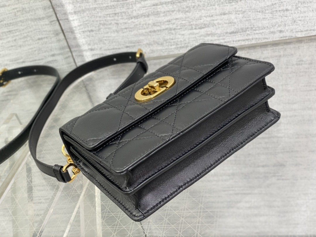DIORMiss Caro Woc 頂級原單mini手袋零錢包真皮新品